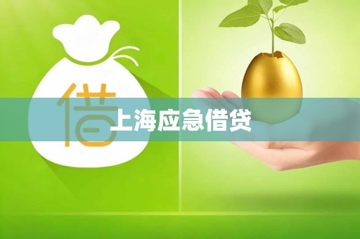上海应急借贷