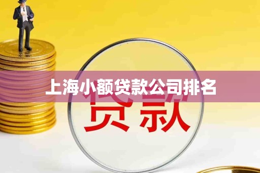 上海小额贷款公司排名 上海小额贷款公司排名