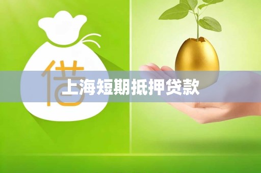 上海短期抵押贷款 上海短期抵押贷款