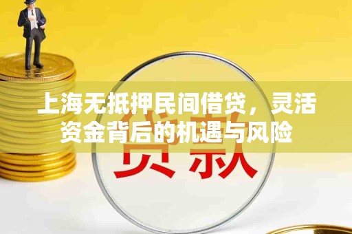 上海无抵押民间借贷，灵活资金背后的机遇与风险