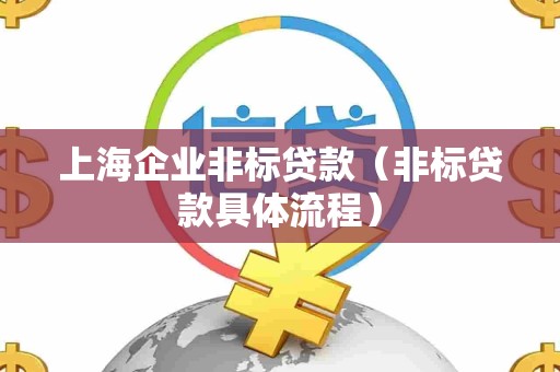 上海企业非标贷款（非标贷款具体流程）